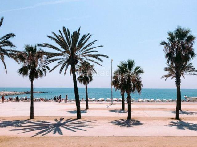 Casa en venta en Malgrat de Mar. 2 plantas de 270m2 en el centro !. Casas Malgrat de.