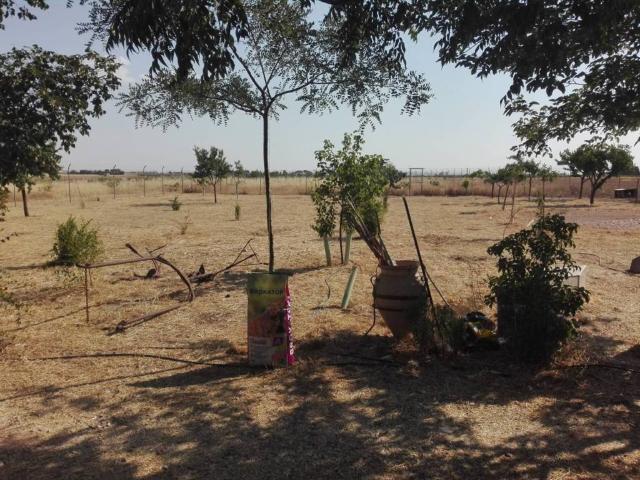 Casa en Venta en Manzanares