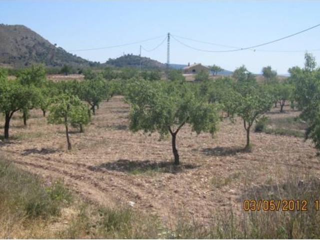 Casa en Venta en Monovar Monover, Alicante