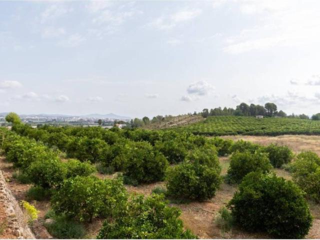 Casa en Venta en Montesa