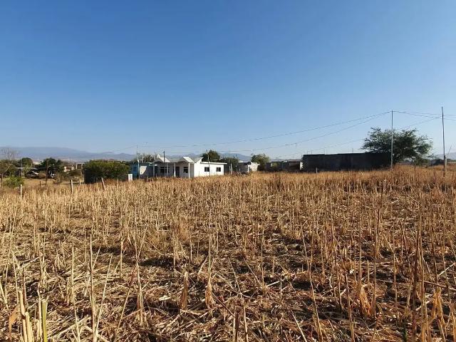 Casa en venta en Nueva Yecapixtla, Yecapixtla, Morelos