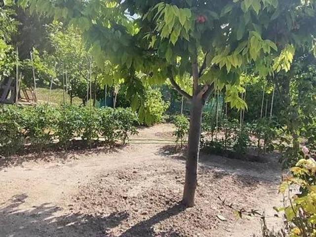 Casa en Venta en Nava de Roa