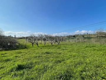 Casa en venta en Nava. Venta de Casa en Nava REES40091. Casas.