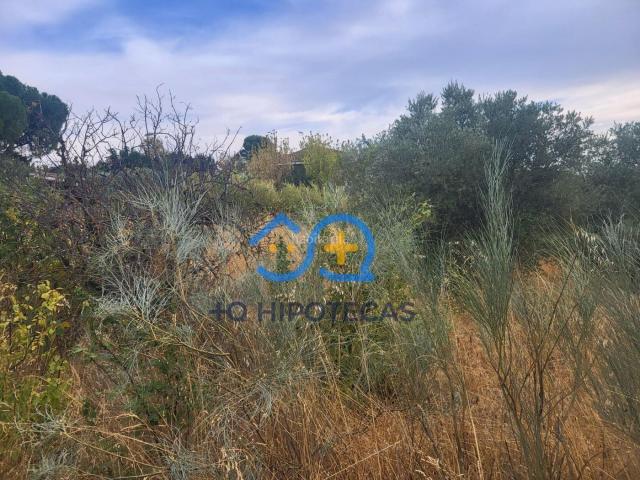 Casa en venta en Otero. VENTA DE CASA CON PARCELA EN OTERO TOLEDO. Casas.