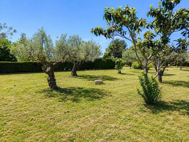 Casa en venta en Onil. VENDE CASA CAMPO ONIL CON 10.000m AGUA Y LUZ. Casas.