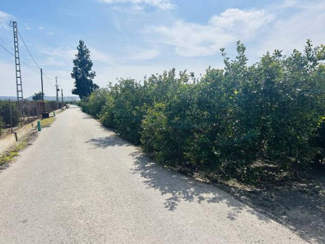 Casa en Venta en Orihuela