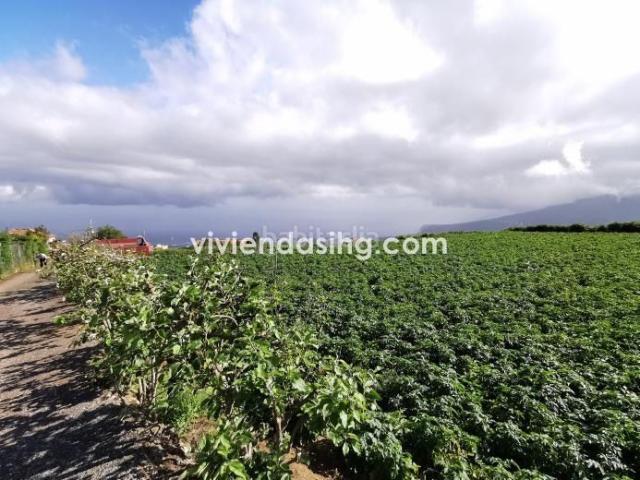 Casa en venta en Orotava La, La Perdoma San Antonio Benijos. Casas Orotava.