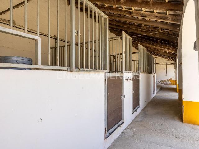 Casa en venta en Osuna. Un Oasis de Tradición, Prosperidad y Energía Solar en el Corazón del Campo. Casas.