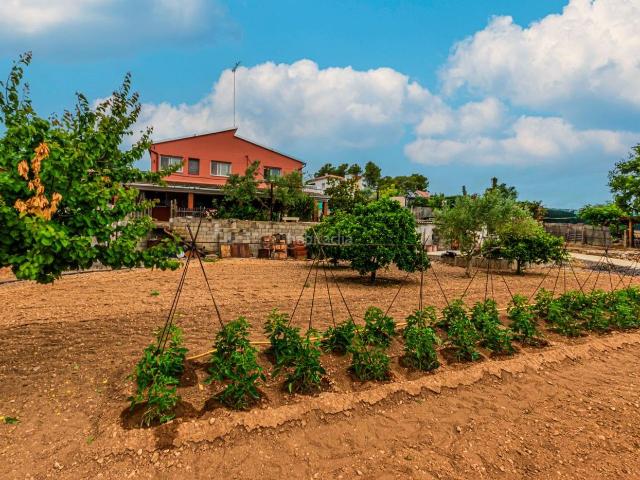 Casa en venta en Avinyonet del Penedès. Chalet unifamiliar independiente en excelente parcela con espectaculares vistas a las montañas en Urbanización Can Mitjans. Casas Avinyonet del.