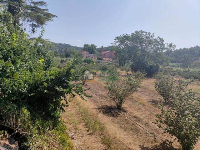 Casa en venta en Alcover. MASIA histórica con alma en Alcover y terreno llano, con un potencial excepcional. Casas.