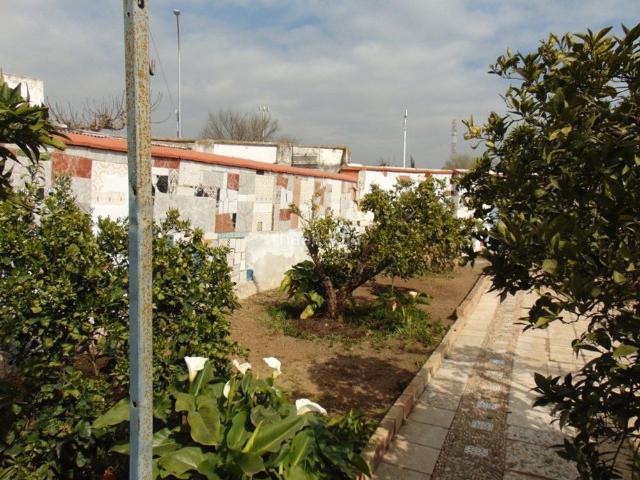 Casa en venta en Alcolea del Río. Casa en Alcolea del Rio, consta de 250 metros de solar de los cuales 121 son de vivienda, La vivienda esta dividida en dos cuerpos. Casas Alcolea del.