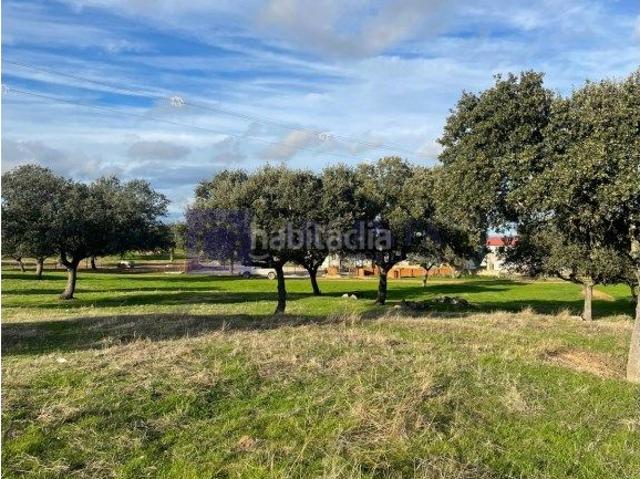 Casa en venta en Aliseda. SE VENDE FINCA GANADERA. Casas.