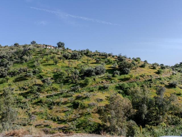Casa adosada en venta en Almogía. Se Vende casa en Paraje Natural, zona Almogía. Casas adosadas.