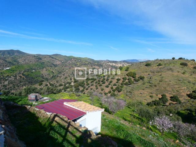 Casa en venta en Almogía. Se vende hermosa finca vallada de 20.000 m en el encantador municipio de Almogía, situado en la comarca del Valle de Guadalhorce. Casas.