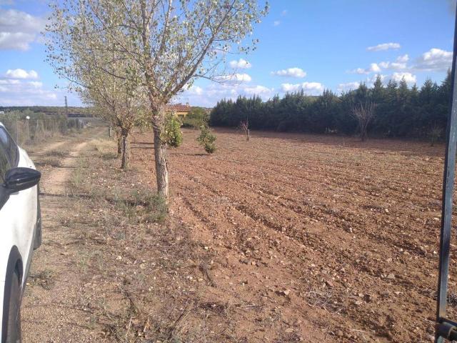 Casa en Venta en Almendral