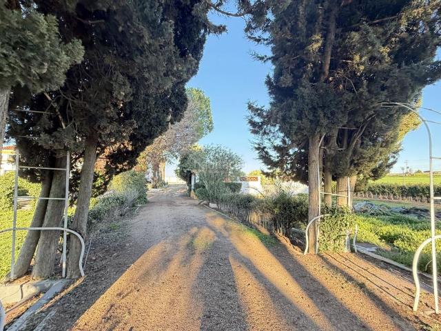 Casa en venta en Almendralejo. ESPECTACULAR CORTIJO EN VENTA EN ALMENDRALEJO MÁS DE 7.000 m DE TERRENO. Casas.