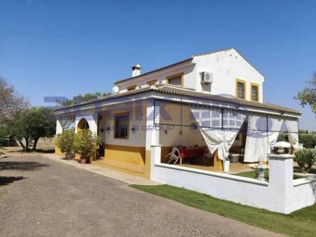 Casa en Venta en Argamasilla de Calatrava