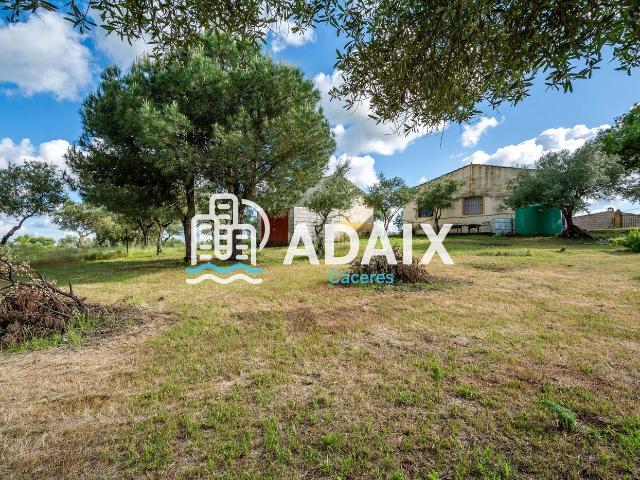 Casa en venta en Arroyo de la Luz. Parcela con Casa en Venta en Arroyo de la Luz lista para disfrutar!. Parcela de 2.700 m con casa construida de 102 m, ideal para. Casas Arroyo de la.