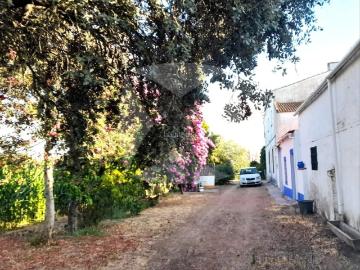Casa en venta en Badajoz, San Roque Ronda Norte. FINCA EN VENTA, DE 8 HECTAREAS CON VIVIENDA, EN LA ZONA RONDA NORTE. Casas.