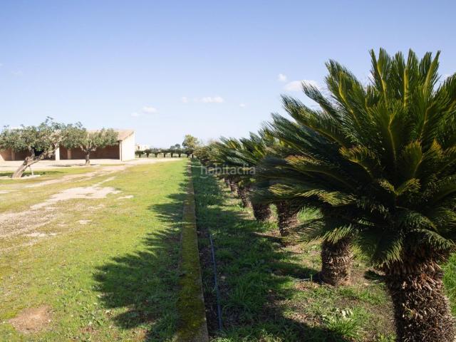 Casa en venta en Baleares Alaró. Historic Mallorcan Possessió Between Inca and SencellesHistoric finca with exceptional development potential over 430,000 m of la. Casas.