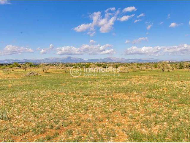 Casa en venta en Baleares Ariany. GRAN TERRENO RUSTICO EN ARIANY!. Casas.