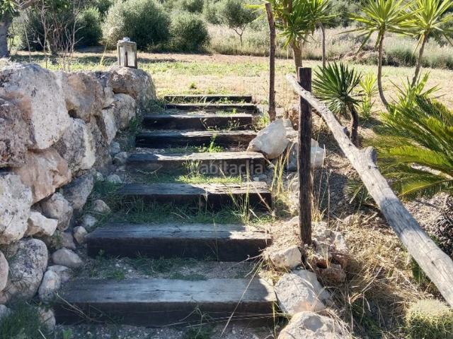 Casa en venta en Baleares Petra. Jesús. Casas.