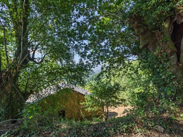 Casa en venta en Becerreá Lugo