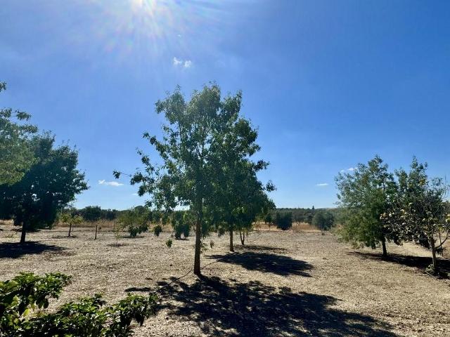 Casa en venta en Berlanga Badajoz