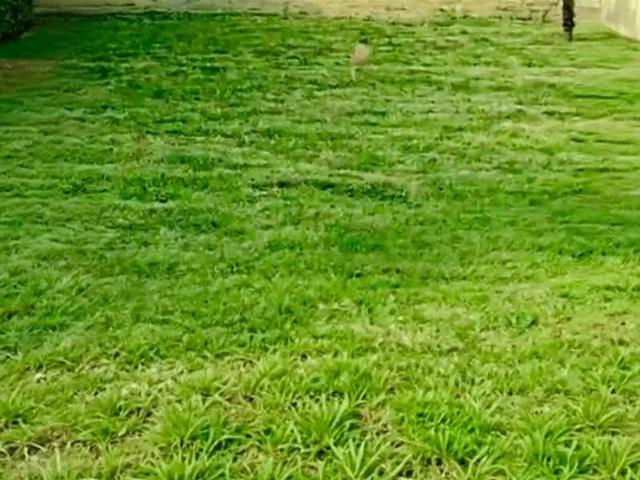 Casa en venta en Bosques del Lago, Cuautitlán Izcalli Amplio jardín, estancia a desnivel y segura