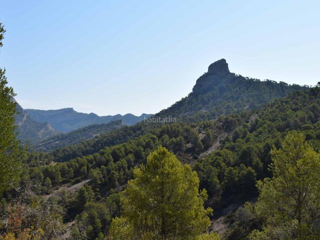 Casa en venta en Bot. Masia para entrar a vivir en Bot. Casas.