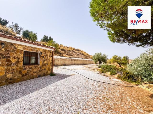 Casa en venta en Cuevas del Campo. CASA CUEVA con PARCELA mas de 10.000 METROS. Casas Cuevas del.