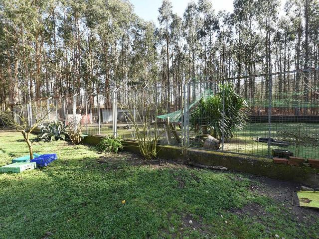 Casa en venta en Cuntis. Casa en Cuntis 55 m2, finca 1.500 m2, cerrada, agua y luz. Casas.