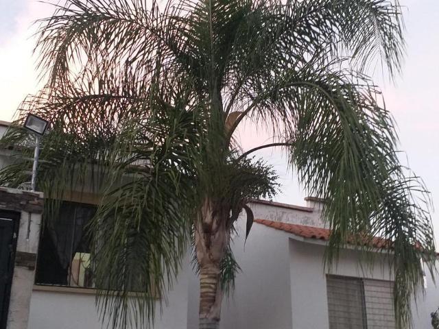 CASA EN VENTA EN CAMPO SUR TLAJOMULCO DE ZU?IGA JALISCO