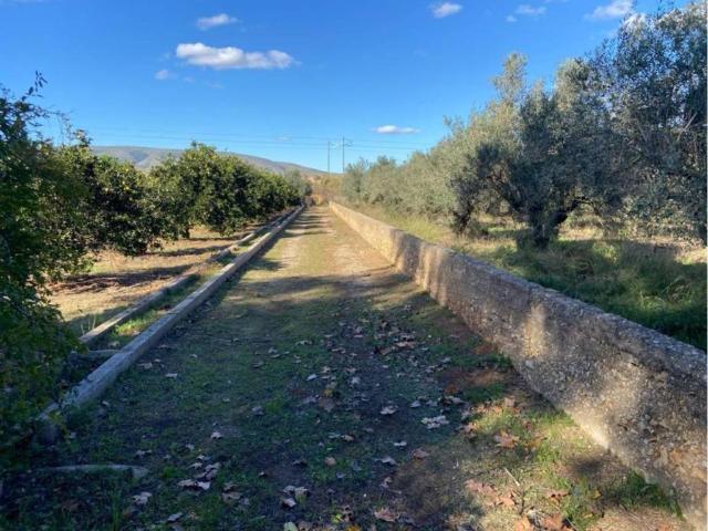 Casa en Venta en Canals
