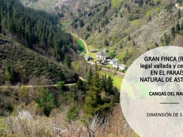 Casa en Venta en Cangas del Narcea