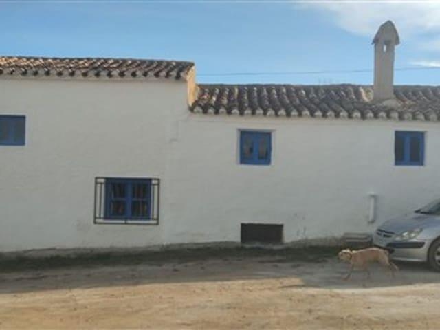 Casa en venta en Caniles, Granada