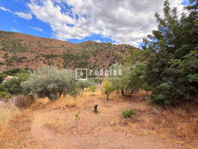Casa en venta en Casabermeja. FINCA RÚSTICA DE 1.590 M CON DOS VIVIENDAS INDEPENDIENTES, AZOTEA Y TERRAZAS A 20 MINUTOS DE CIUDAD JARDÍN MÁLAGA. Casas.