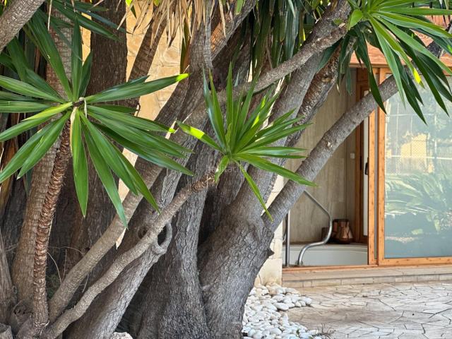 Casa en venta en Castellví de Rosanes. Finca singular en Castellví de Rosanes privacidad, carácter y bienestar en un entorno natural. Casas Castellví de.