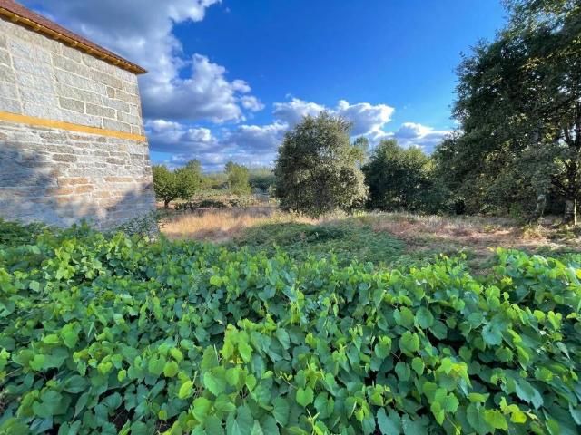Casa en Venta en Cartelle