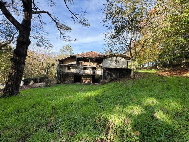 Casa en venta en Carranza. Casa en el barrio de Ahedo. A escasos minutos de Carranza. Necesita reforma integral. Enclave natural espectacular. Casas.