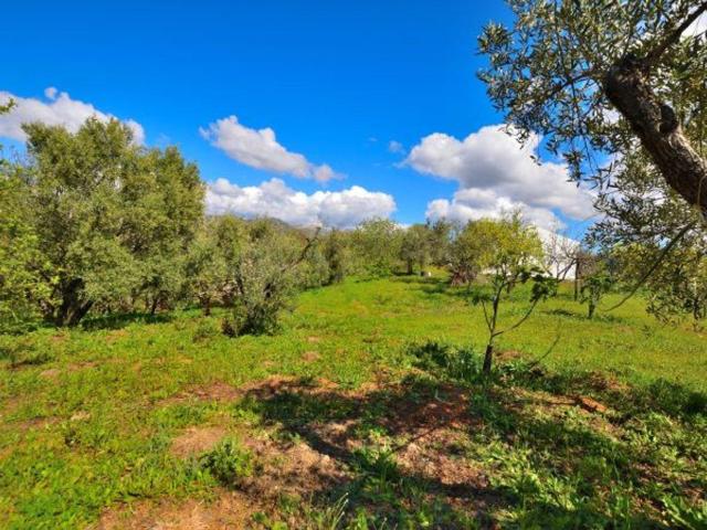 Casa en venta en Cartajima Málaga