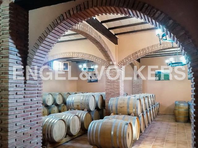Casa en venta en Chinchilla de Monte Aragón. Finca con bodega en producción. Casas Chinchilla de Monte.
