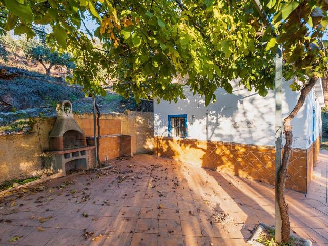 Casa en venta en Cogollos de la Vega. casita legalizada, con toma de electricidad, agua potable, agua de riego, y terreno de olivos. Casas Cogollos de la.