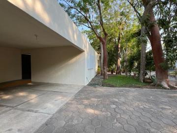 Francisco Hernandez Espinoza, Colima, Colima