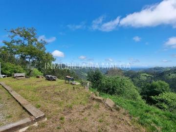 Casa en venta en Colunga. CASA DE 175m2 CON UN TERRENO DE UNOS 9.500m2 EN EL PUEBLO DE PIVIERDA. Casas.
