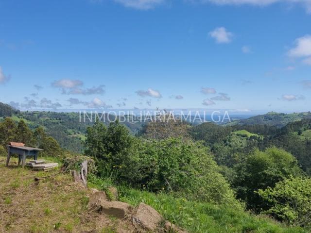Casa en venta en Colunga. CASA DE 175m2 CON UN TERRENO DE UNOS 9.500m2 EN EL PUEBLO DE PIVIERDA. Casas.
