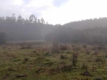 Collao, Provincia de Concepción, Región del Biobío