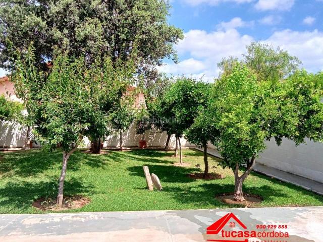 Casa en venta en Córdoba, El Higuerón. CASA CON TERRENO Y PISCINA EN VILLARRUBIA. Casas.