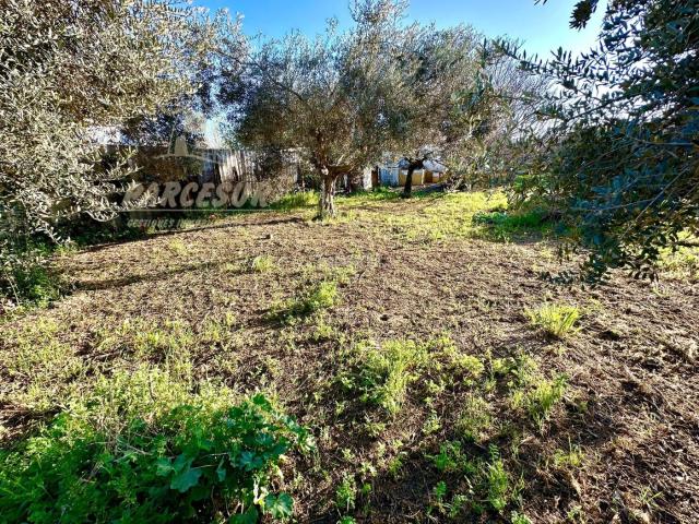 Casa en venta en Córdoba, El Higuerón. ZONA HIGUERON Parcela con salon, trastero y baño con agua potable y alcantarillado. Casas.