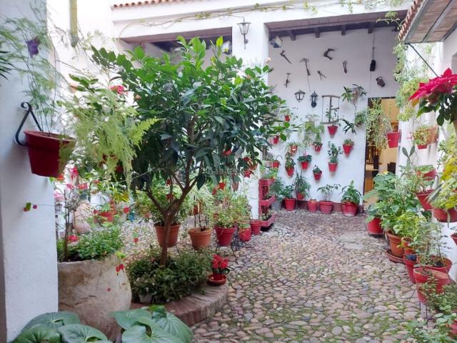 Casa en venta en Córdoba, Sta. Marina San Andrés San Pablo San Lorenzo. A. Casa Patios espectacular. Casas.